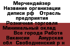 Мерчендайзер › Название организации ­ диписи.рф › Отрасль предприятия ­ Розничная торговля › Минимальный оклад ­ 25 000 - Все города Работа » Вакансии   . Амурская обл.,Свободненский р-н